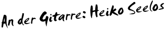 An der Gitarre: Heiko Seelos